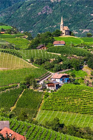 Overview of mountain side vineyards witha church on the hilltop near Bolzano, Italy Photographie de stock - Rights-Managed, Code: 700-08986564