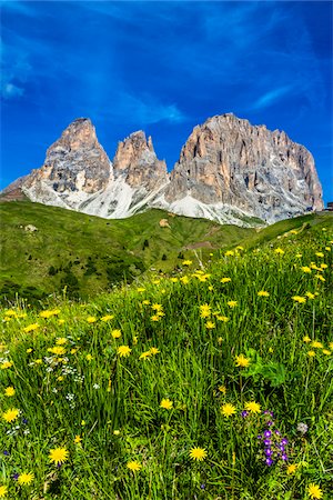 simsearch:600-08082924,k - Grassy mountain side at the Sella Pass with the jagged mountain tops of the Dolomites in South Tyrol, Italy Foto de stock - Con derechos protegidos, Código: 700-08986569