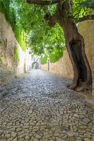 Shady cobblestone alley with an old tree and lined with stone walls in Punta San Vigilio in Garda at Lake Garda in Veneto, Italy Stockbilder - Lizenzpflichtiges, Bildnummer: 700-09022532