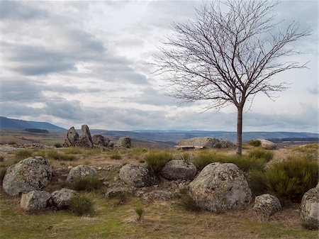 france countryside hills - Bare tree and rocky landscape in the Cevennes mountains on a cloudy day in winter in south-central France Stock Photo - Rights-Managed, Code: 700-09035390