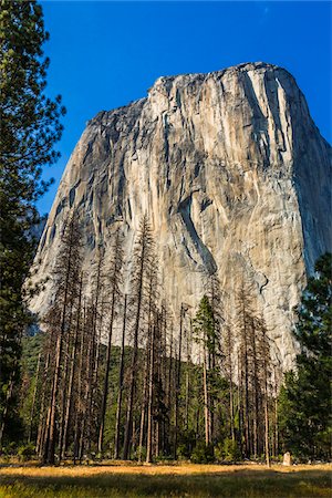 sierra nevada range - Sunlit El Capitan in the Yosemite Valley in Yosemite National Park in California, USA Stock Photo - Rights-Managed, Code: 700-09052918