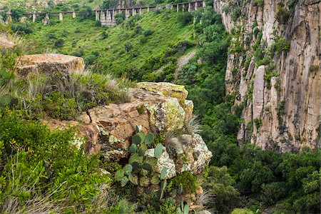 figuier de barbarie - Vegetation and rocky cliffs with a bridge in the background at the Botanic Gardens (Charco Del Ingenio) near San Miguel de Allende, Mexico Photographie de stock - Rights-Managed, Code: 700-09088203