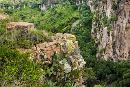 Vegetation and rocky cliffs with a bridge in the background at the Botanic Gardens (Charco Del Ingenio) near San Miguel de Allende, Mexico Stock Photo - Rights-Managed, Code: 700-09088203