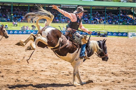 Bucking bronco rider at the Warwick Rodeo in Warwick, Queensland, Australia Stockbilder - Lizenzpflichtiges, Bildnummer: 700-09088217