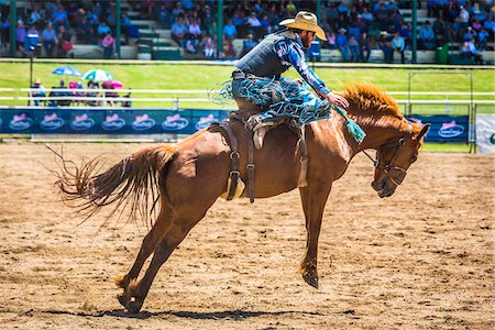 rodeo - Bucking bronco rider at the Warwick Rodeo in Warwick, Queensland, Australia Fotografie stock - Rights-Managed, Codice: 700-09088220