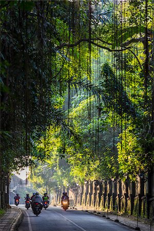 dark city streets - Motorcycles travelling on road surrounded by lush vegetation in the Ubud District in Gianyar, Bali, Indonesia Stock Photo - Rights-Managed, Code: 700-09134708