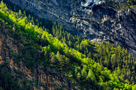 pyrenees cliff - Rock cliffs and forest of the Pyrenees in the Ordesa y Monte Perdido National Park in the Huesca Province in Aragon, Spain Stock Photo - Rights-Managed, Code: 700-09226491