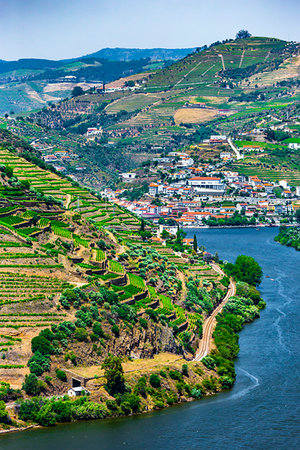 simsearch:700-08765518,k - Looking down the Douro River with the terraced vineyards in the Douro River Valley, Norte, Portugal Foto de stock - Con derechos protegidos, Código: 700-09226695