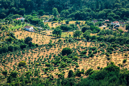 Looking out on the countryside below the minicipality of Marvao in the Portalegre District in Portugal Stock Photo - Rights-Managed, Code: 700-09226788