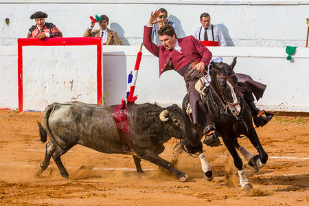 plaza de toros - Bullfighter on horseback spearing bull in bullring at bullfight in San Miguel de Allende, Mexico Foto de stock - Con derechos protegidos, Código: 700-09226969