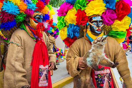 Indigenous tribal dancers wearing masks and colurful flowers and holding a stuffed fox at a St Michael Archangel Festival parade in San Miguel de Allende, Mexico Stockbilder - Lizenzpflichtiges, Bildnummer: 700-09227047