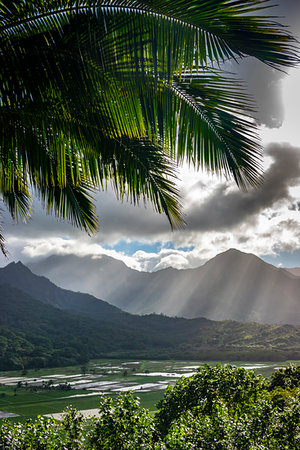 Hanalei, Kauai, Hawaii, United States. Foto de stock - Con derechos protegidos, Código: 700-09227172