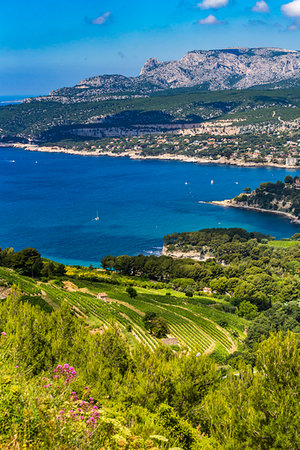 simsearch:700-09236818,k - Cassis, Provence-Alpes-Cote d'Azur, Provence, France. Stock Photo - Rights-Managed, Code: 700-09236712