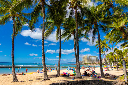 Waikiki Beach, Honolulu, Oahu, Hawaii, United States. Stock Photo - Rights-Managed, Code: 700-09237184