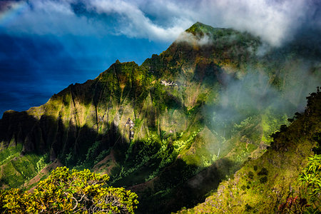 Kalalau Lookout, Waimea Canyon State Park, Kauai, Hawaii, United States. Photographie de stock - Rights-Managed, Code: 700-09237240