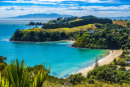Palm Beach, Waiheke Island, North Island, New Zealand. Stockbilder - Lizenzpflichtiges, Bildnummer: 700-09237327