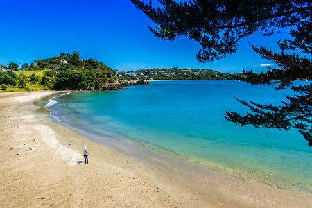 Little Oneroa Beach, Waiheke Island, North Island, New Zealand. Fotografie stock - Rights-Managed, Codice: 700-09237333
