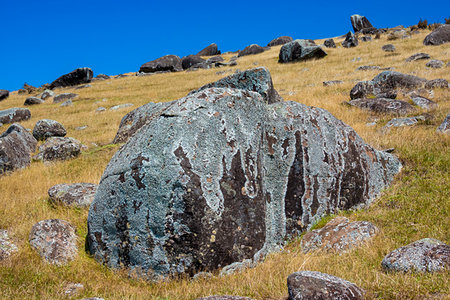 Large rocks on hill at Stony Batter Historic Reserve, Waiheke Island, North Island, New Zealand. Stockbilder - Lizenzpflichtiges, Bildnummer: 700-09237348