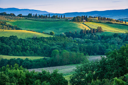 simsearch:700-09237490,k - Farming country near San Giovanni D'Asso, Tuscany, Italy. Foto de stock - Con derechos protegidos, Código: 700-09237389