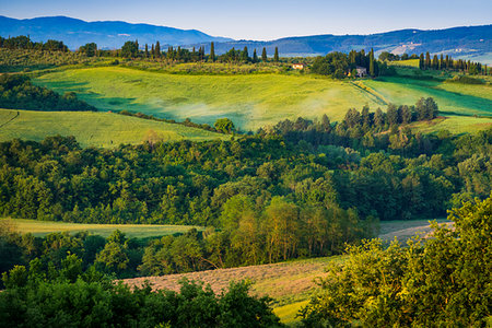 simsearch:700-09237490,k - Farming country near San Giovanni D'Asso, Tuscany, Italy. Foto de stock - Con derechos protegidos, Código: 700-09237390
