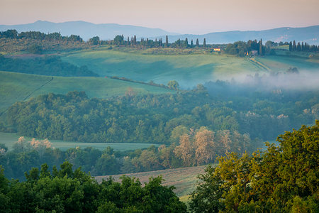 simsearch:700-09237490,k - Farming country near San Giovanni D'Asso, Tuscany, Italy. Foto de stock - Con derechos protegidos, Código: 700-09237391