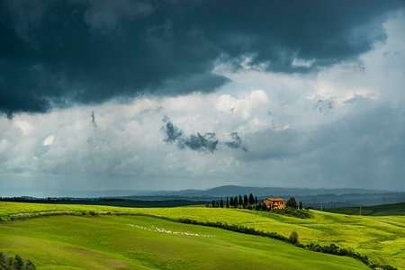 simsearch:879-09191122,k - Stormy sky over farming country in Tuscany, Italy. Fotografie stock - Rights-Managed, Codice: 700-09237415