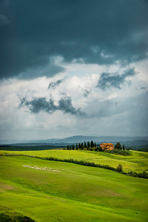 simsearch:879-09191122,k - Stormy sky over farming country in Tuscany, Italy. Fotografie stock - Rights-Managed, Codice: 700-09237416