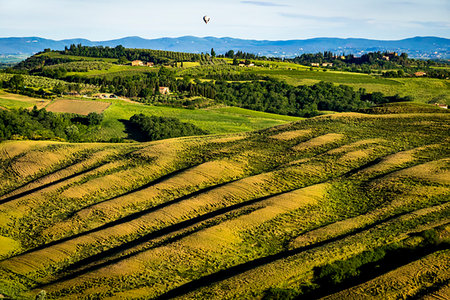 simsearch:700-06368045,k - Tuscany, Italy. Stock Photo - Rights-Managed, Code: 700-09237428