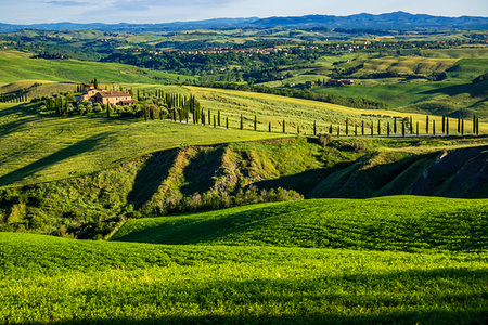 simsearch:700-06368045,k - Tuscany, Italy. Stock Photo - Rights-Managed, Code: 700-09237435