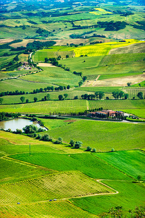 simsearch:700-09237490,k - View of the Val D'Orcia from Montalcino, Tuscany, Italy. Foto de stock - Con derechos protegidos, Código: 700-09237476