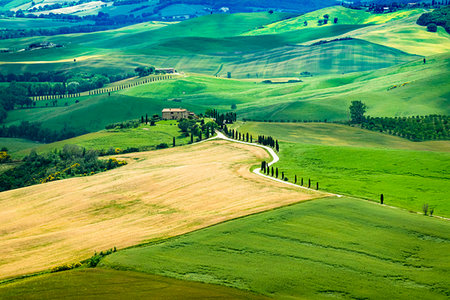 simsearch:700-09237490,k - Farmland near Pienza, Val d'Orcia.Tuscany, Italy. Foto de stock - Con derechos protegidos, Código: 700-09237484
