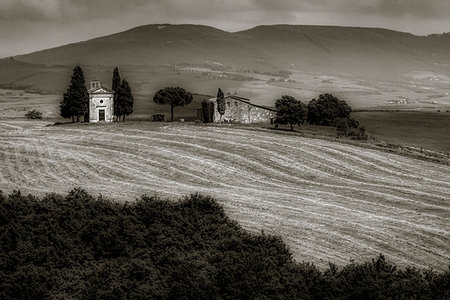 Farmland near Pienza, Val d'Orcia.Tuscany, Italy. Stock Photo - Rights-Managed, Code: 700-09237485