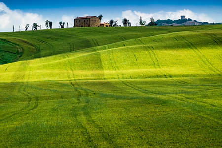 simsearch:700-09237490,k - Farmland near Pienza in Val d'Orcia, Tuscany, Italy. Foto de stock - Con derechos protegidos, Código: 700-09237482