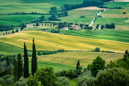 simsearch:700-09237490,k - Farmland near Pienza, Val d'Orcia.Tuscany, Italy. Foto de stock - Con derechos protegidos, Código: 700-09237483