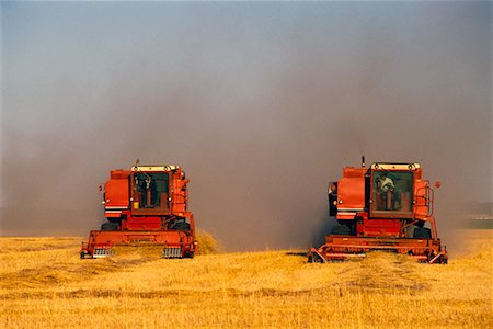 Harvesting Wheat Near St. Agathe, Manitoba, Canada Foto de stock - Con derechos protegidos, Código: 700-00004149