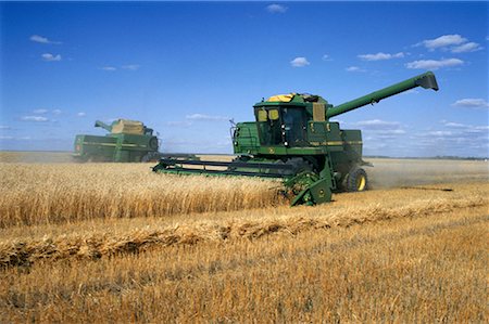 Harvesting Wheat near St. Agathe Manitoba, Canada Stock Photo - Rights-Managed, Code: 700-00004531