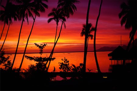 simsearch:700-00183610,k - Silhouette of Palm Trees on Beach At Sunset Tahiti Stock Photo - Rights-Managed, Code: 700-00005976