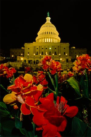 simsearch:700-01374699,k - Capitol Building at Night Washington, DC, USA Stock Photo - Rights-Managed, Code: 700-00006779