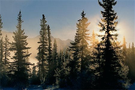 Winter Sunrise Jasper National Park Alberta, Canada Stock Photo - Rights-Managed, Code: 700-00008429