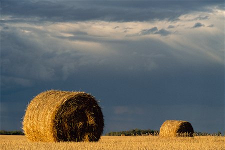 Russell, Manitoba, Canada Stock Photo - Rights-Managed, Code: 700-00008474