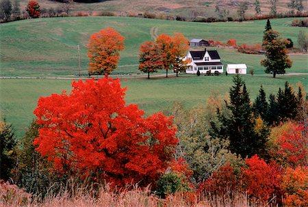 Ferme en automne Millville, New Brunswick, Canada Photographie de stock - Rights-Managed, Code: 700-00008550