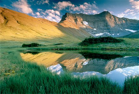 Gamme Persimmon Willmore Wilderness (Alberta), Canada Photographie de stock - Rights-Managed, Code: 700-00009642