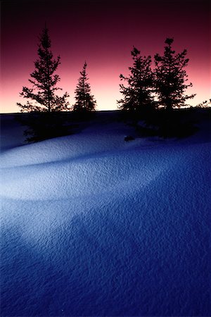 simsearch:700-00022105,k - Silhouette des arbres avec des bancs de neige au crépuscule (Alberta), Canada Photographie de stock - Rights-Managed, Code: 700-00001720