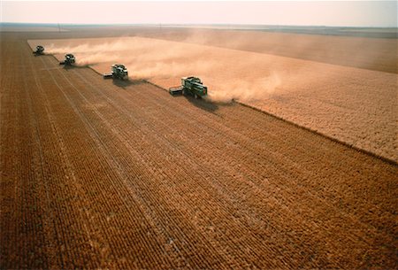 stati delle pianure - Wheat Harvest Oklahoma, USA Fotografie stock - Rights-Managed, Codice: 700-00002957