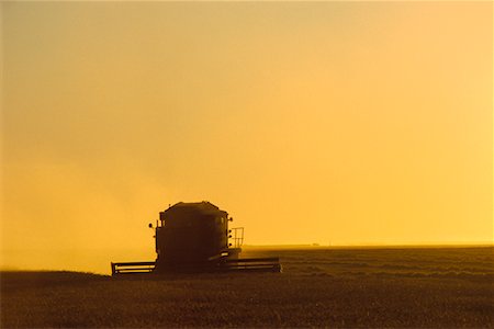 Harvesting Wheat Near St. Agathe, Manitoba, Canada Stock Photo - Rights-Managed, Code: 700-00003913