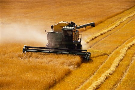 simsearch:700-00015147,k - Harvesting Wheat Near St. Agathe, Manitoba, Canada Foto de stock - Con derechos protegidos, Código: 700-00003998