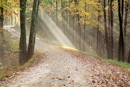 simsearch:700-00016282,k - Forêt nationale Daniel Boone Kentucky, USA Photographie de stock - Rights-Managed, Code: 700-00014507