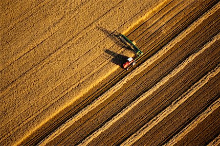simsearch:700-00008391,k - Harvesting Wheat Saskatchewan, Canada Foto de stock - Con derechos protegidos, Código: 700-00014664
