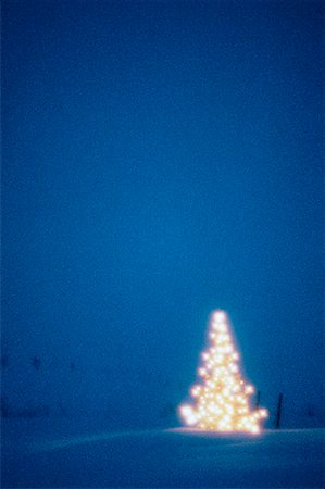 simsearch:700-00027620,k - Tree Decorated with Lights Stock Photo - Rights-Managed, Code: 700-00014728