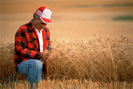 simsearch:700-00014783,k - Farmer Checking Crops Stock Photo - Rights-Managed, Code: 700-00015085
